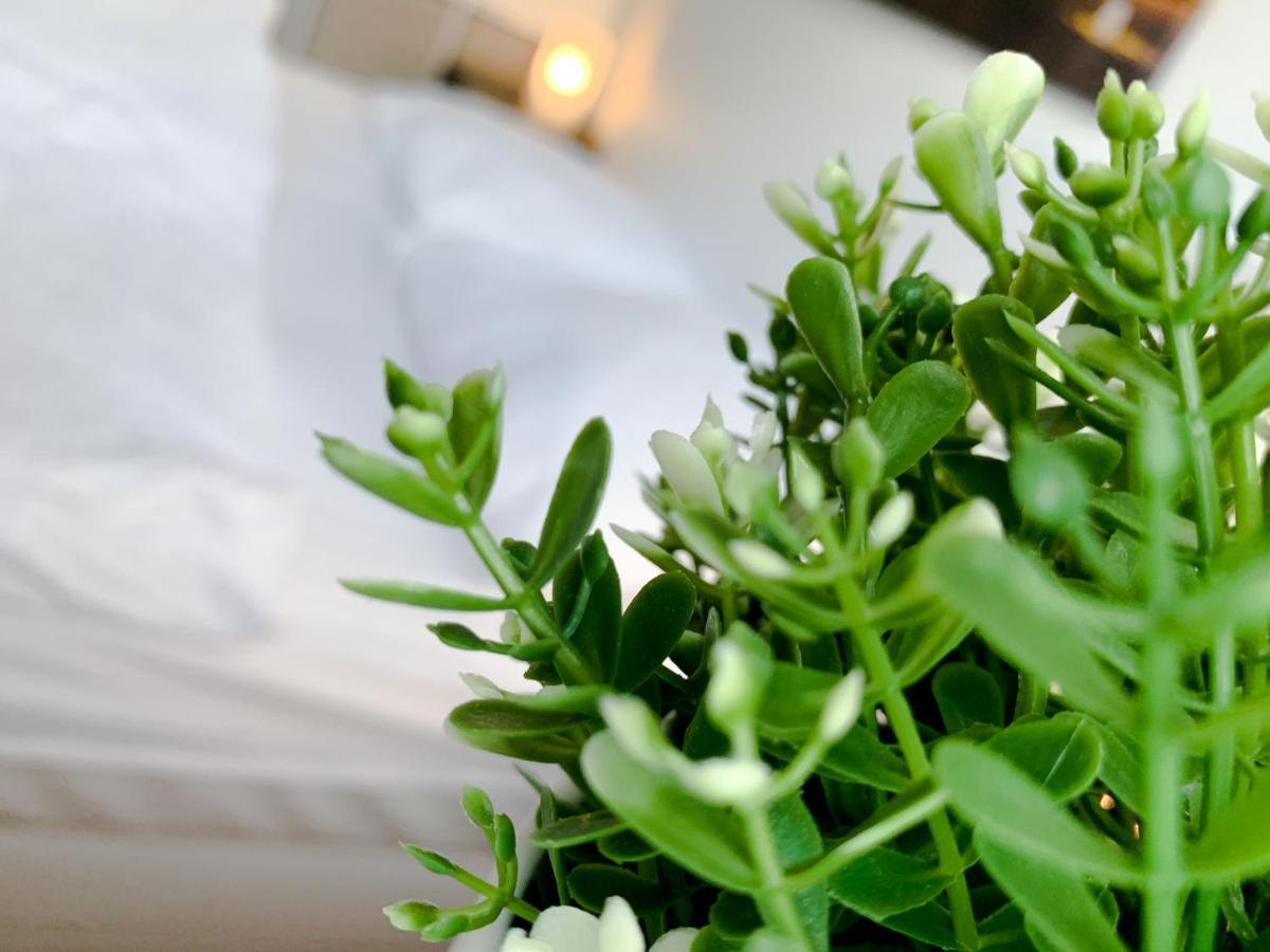 Relax Aachener Boardinghouse Appartements Premium 1 Esterno foto